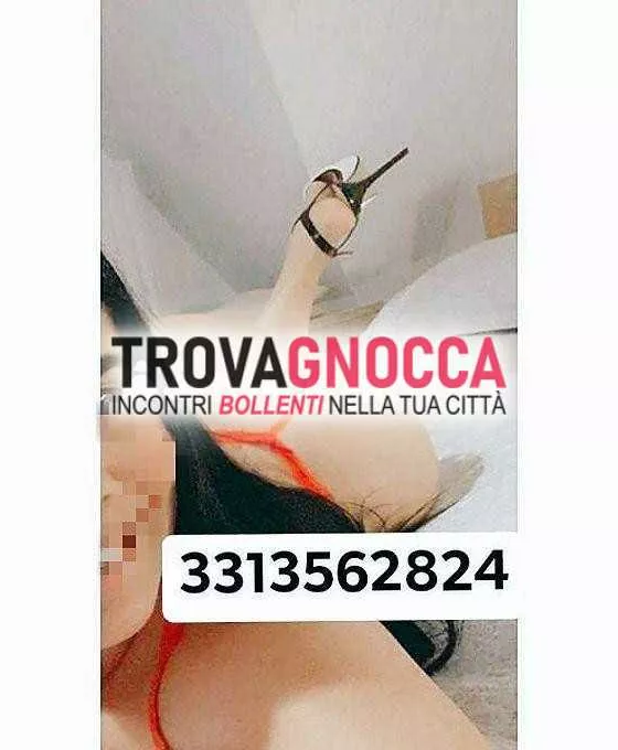 Foto di 3313562824