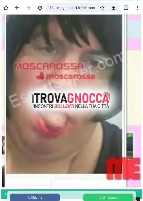 Foto di 3317647365