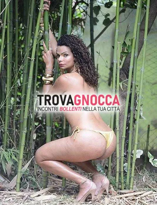 Foto di 3341599762