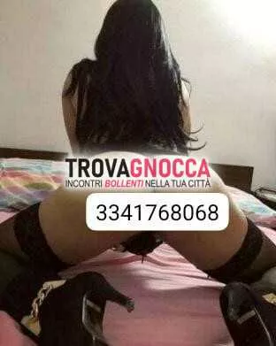 Foto di 3341768068
