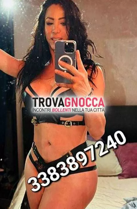escort.it - 3383897240 - Urbino: marotta sinthia transessuale 😍...