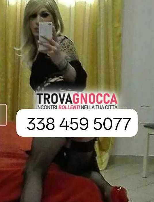Foto di 3384595077