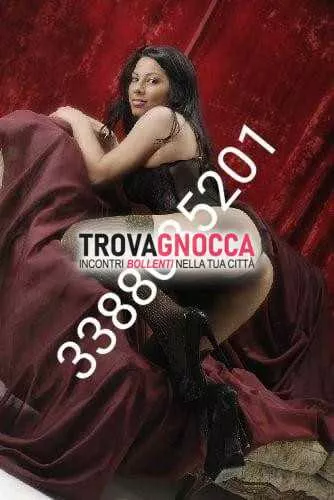 Foto di 3388085201