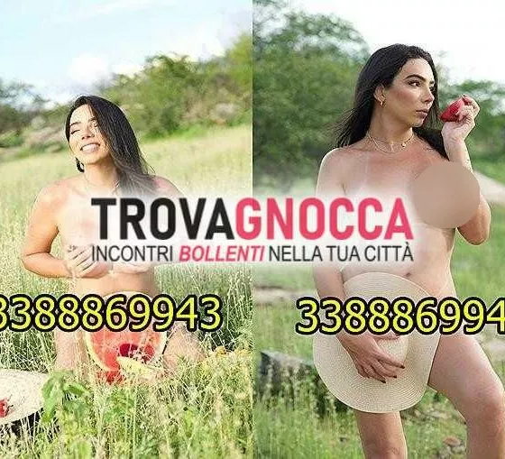 escort.it - 3388869943 - Milano: ciao mi chiamo sofy🌸 ho 25 anni sono...