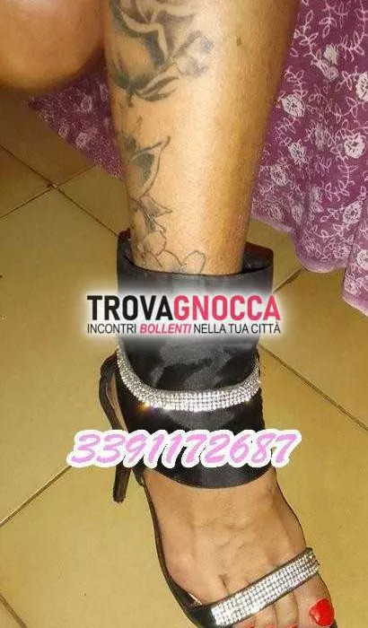 Foto di 3391172687