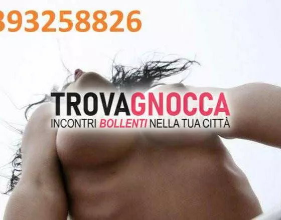 Foto di 3393258826