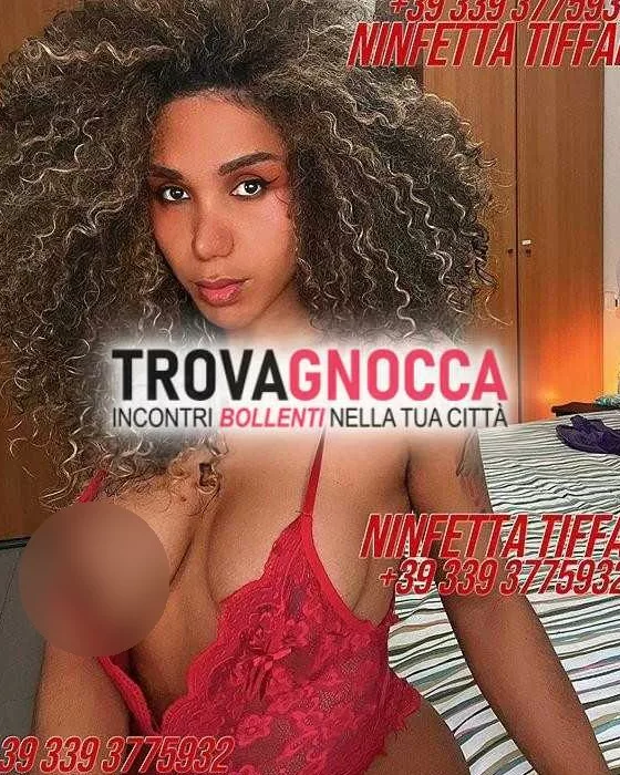 Foto di 3393775932