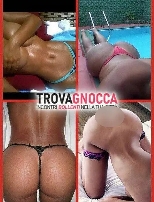 Foto di 3394377202