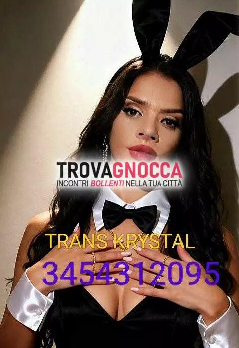 escort.it - 3454312095 - Grosseto: esclusiva 🎉prima volta 🥳🍾💋transessuale...
