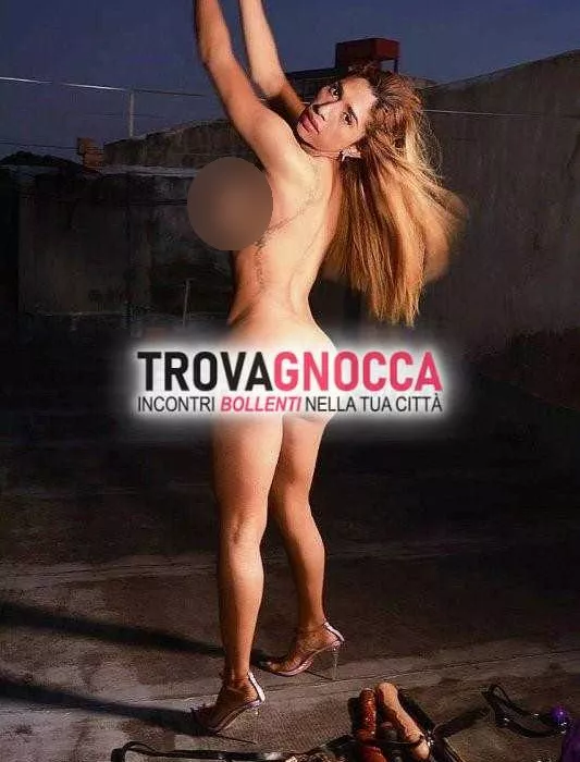 Foto di 3455354903