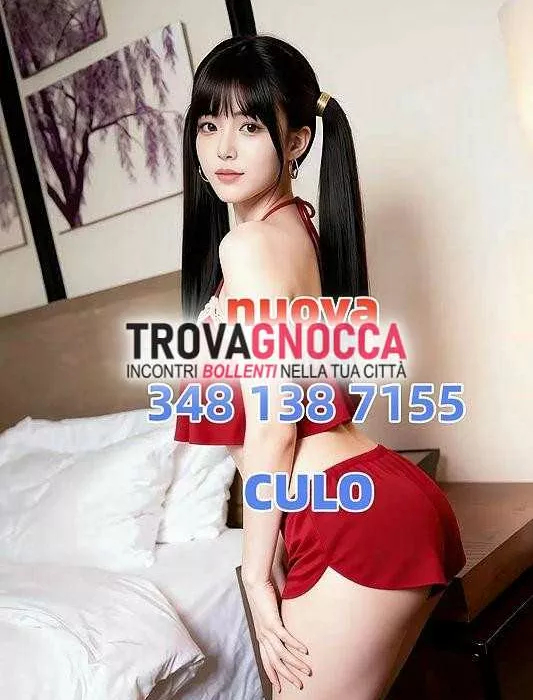 Foto di 3481387155