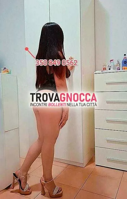 Foto di 3508490562