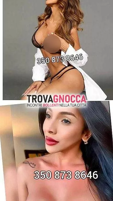 Foto di 3508738646