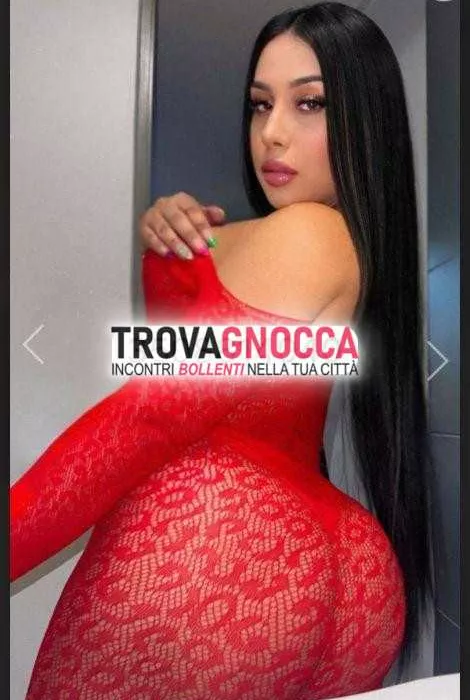 escort.it - 3508814040 - Trento: novita pierina transessuale apppena...