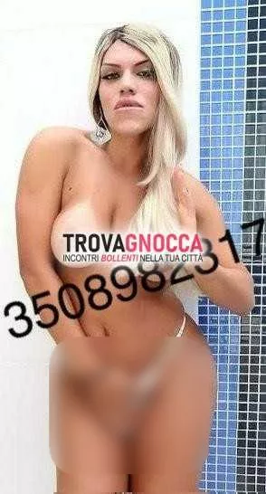 escort.it - 3508982317 - Rovigo: 💎❤️prima volta citta megan sofia top...