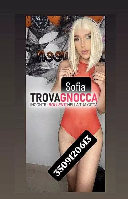 Foto di 3509120613