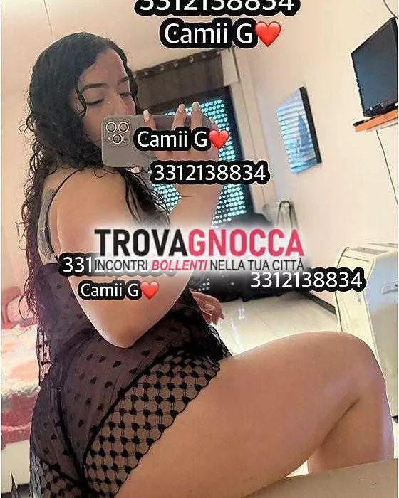 escort.it - 3511567216 - Vibo valentia: ‼️🚨 📆📲ciao amore sono ragazza...