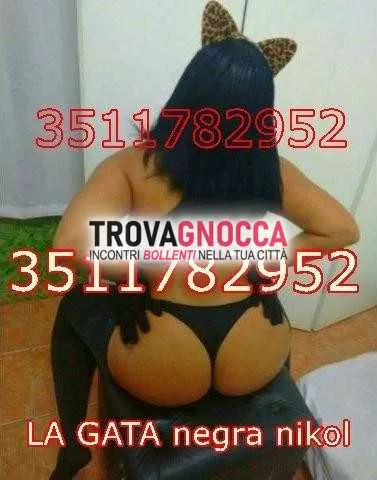 Foto di 3511782952