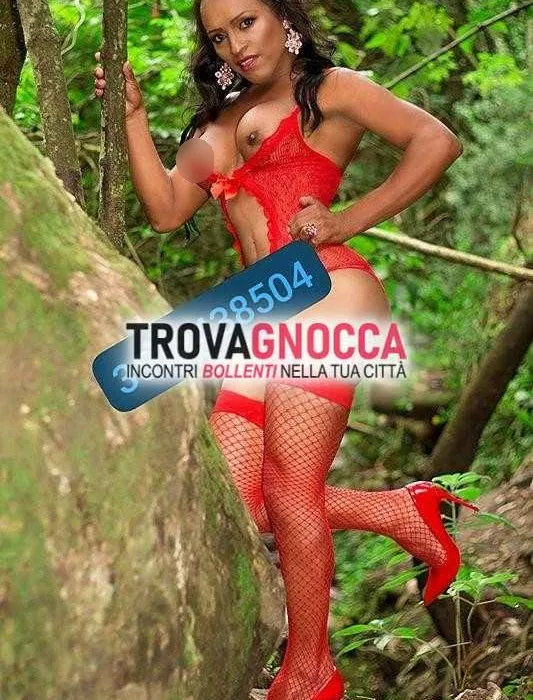 Foto di 3512438504