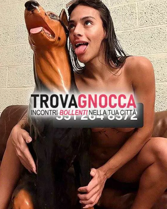 Foto di 3512648372