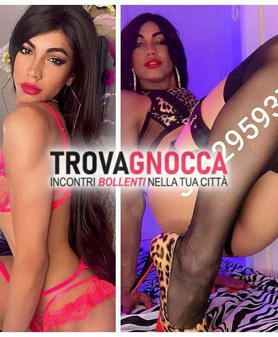 escort.it - 3512959370 - Potenza: 🇮🇹stop transessuale italiana prima...