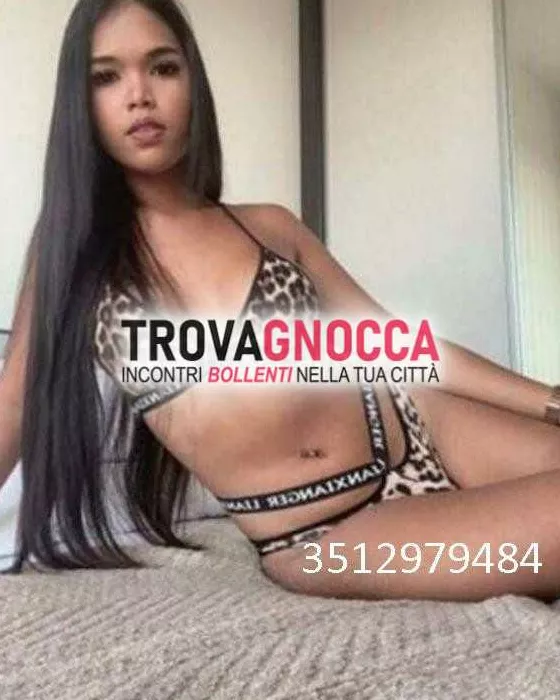 escort.it - 3512979484 - Viterbo: ✨✨transessuale kimora super completa...