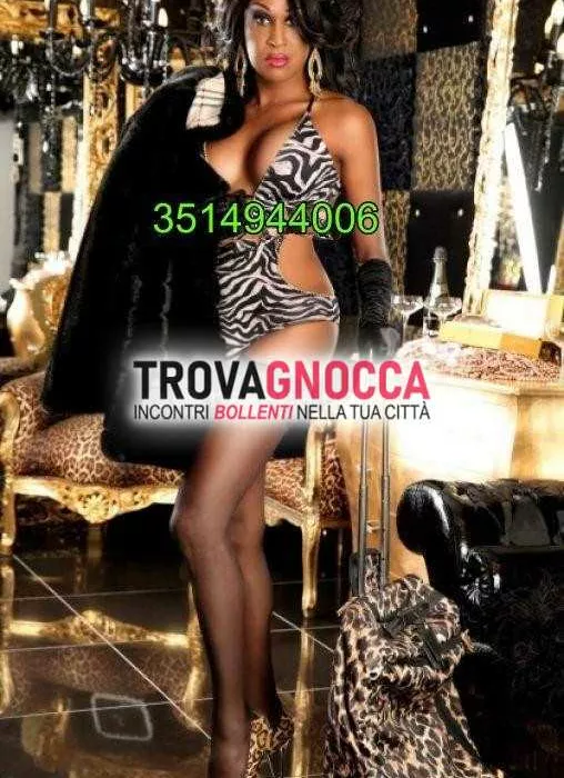 escort.it - 3514944006 - Pordenone: 💙💜💖pantera nera bellissima...