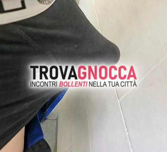 escort.it - 3520068910 - Mantova: attivo calore cerco transessuale o...