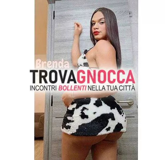 Foto di 3533131583