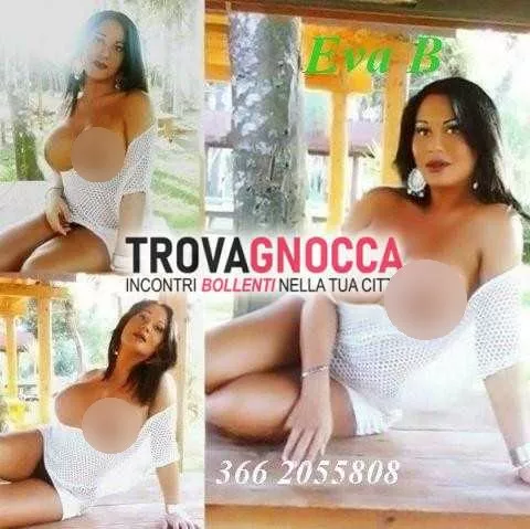 escort.it - 3662055808 - Catanzaro: a lamezia terme sant eufemia eva...