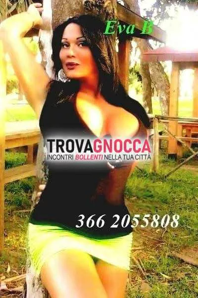 Foto di 3662055808