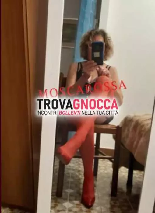 escort.it - 3713419404 - Torino: anna signora matura