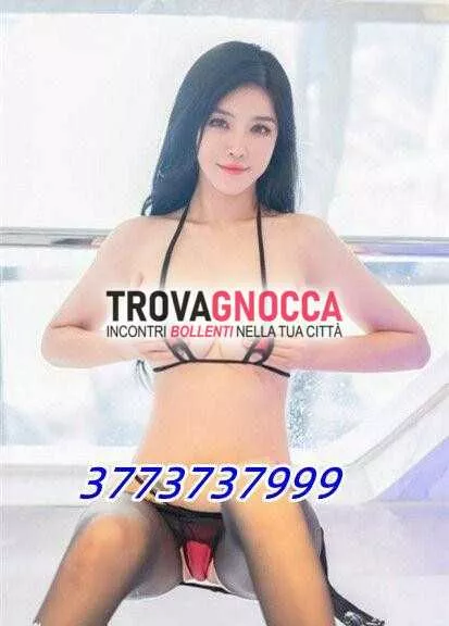 escort.it - 3773737999 - Alessandria: 💖💚prima volta 💖 vera giovane e...
