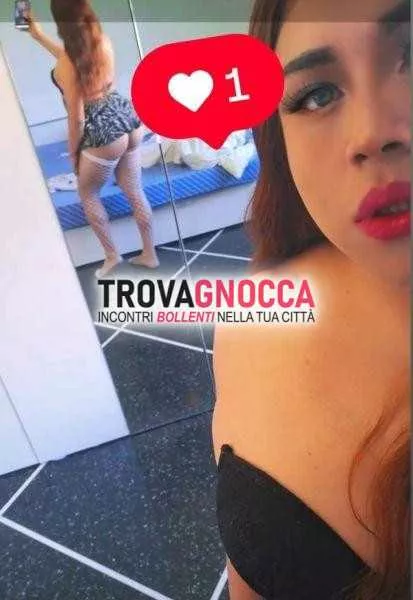 escort.it - 3881546069 - Trento: ❤️💦lunita mishel ⭐ bellisima transessuale...