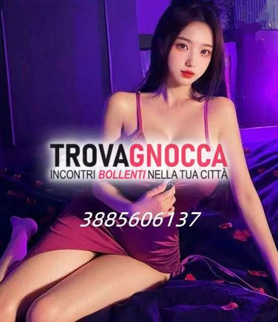 escort.it - 3885606137 - Siracusa: 🔴 prima volta città 🔴 ragazza carina...