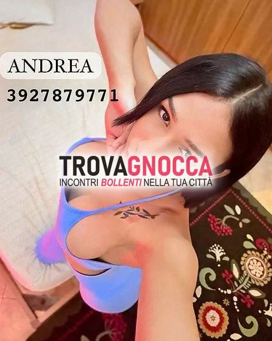 Foto di 3927879771